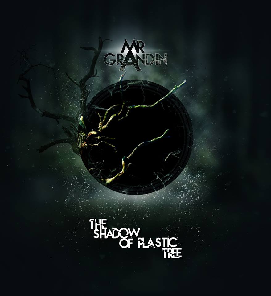 Monsieur Grandin - The Shadow Of Plastic Tree